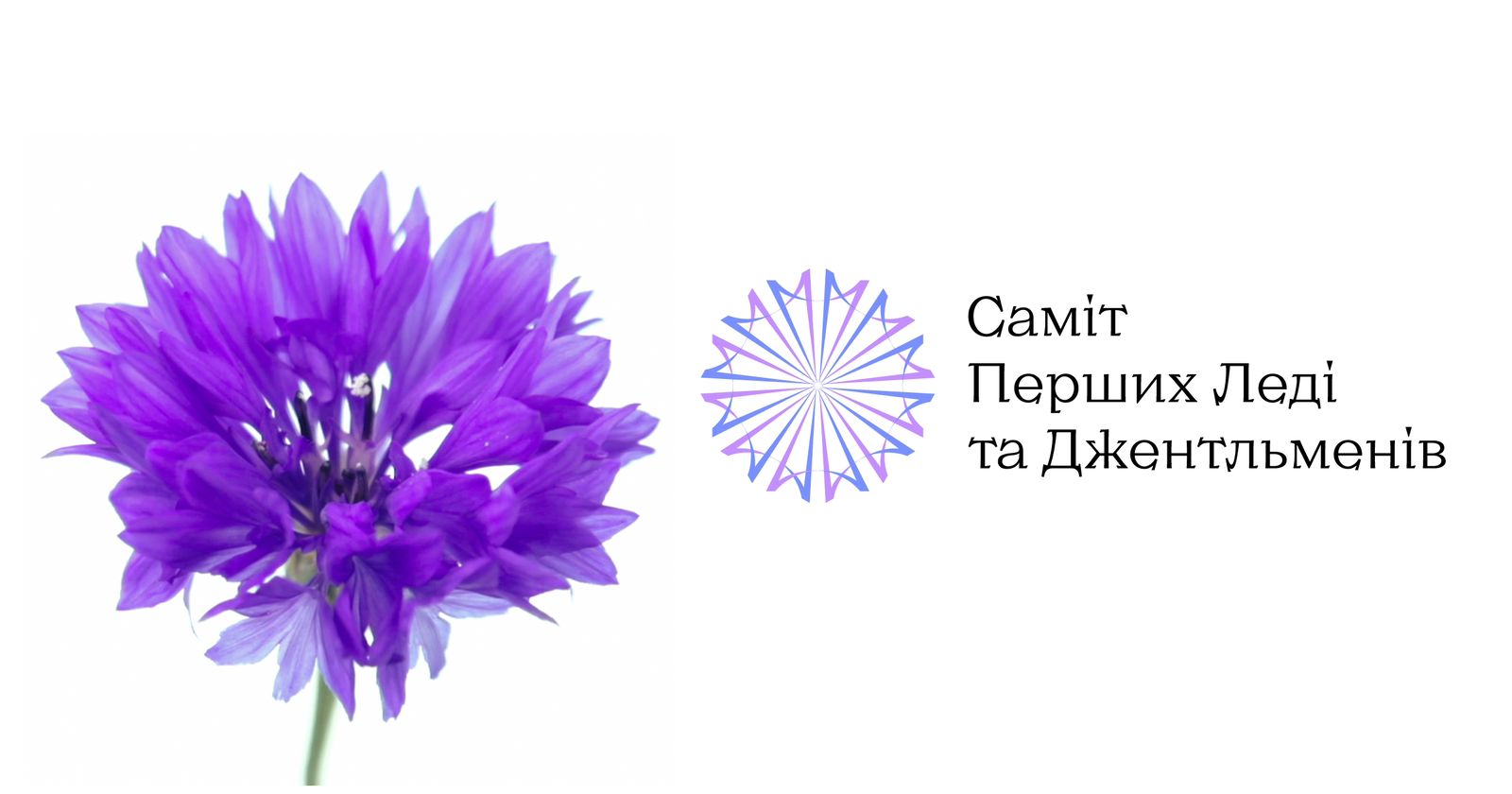 Изображение WhatsApp 2023-09-01 в 17.45.12фф