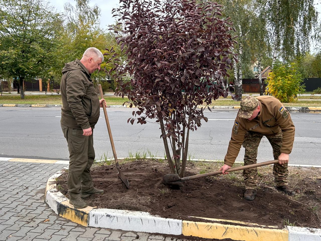 З нагоди 530-річчя селища у Гостомелі висадили дерева в парку «Щасливий»