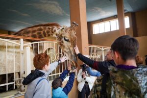 Фото без опису